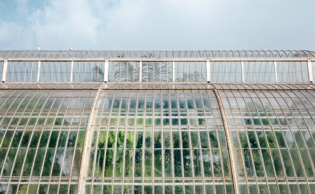 blog greenhouse head2