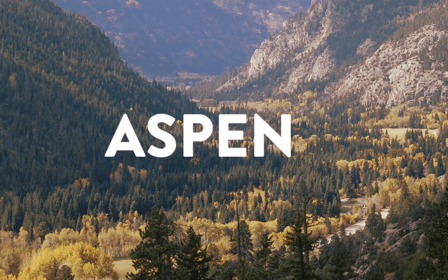Aspen View