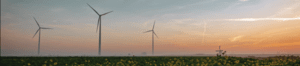 Turbines among sunflowers at sunrise