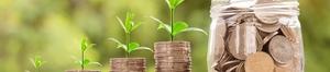 money with plants growing