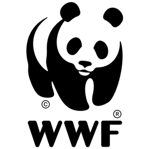 WWF South Korea